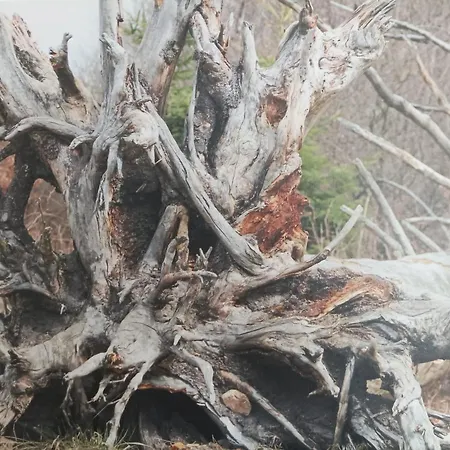 Ferienresidenz Wurmbergblick * Braunlage