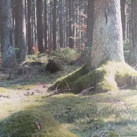 Ferienresidenz Wurmbergblick Lägenhet