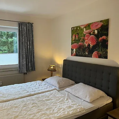 Daire Ferienresidenz Wurmbergblick Braunlage
