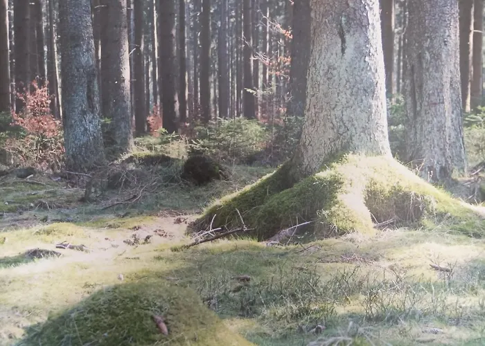 Ferienresidenz Wurmbergblick Апартаменты